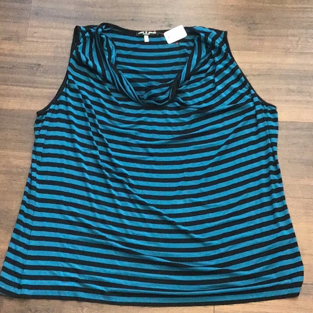 Cable and Gauge NWOT Blue and black stripes Top
